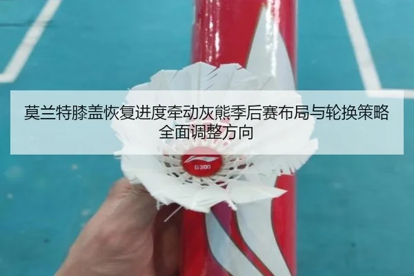 莫兰特膝盖恢复进度牵动灰熊季后赛布局与轮换策略全面调整方向